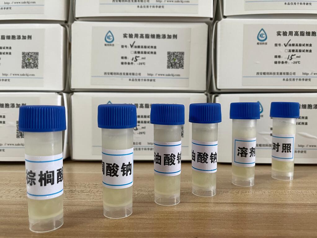 长链多不饱和脂肪酸（DHA）BSA水溶液,DHA-BSA、omega-3