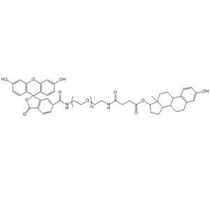 FITC-PEG-Estrogen，雌激素-聚乙二醇-荧光素