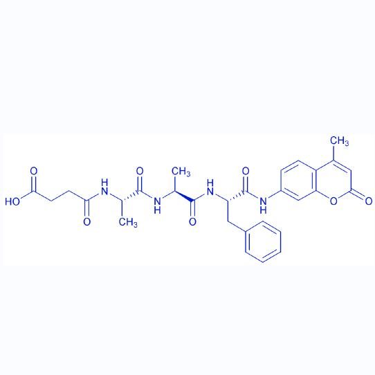荧光胰凝乳蛋白酶底物,Suc-Ala-Ala-Phe-AMC