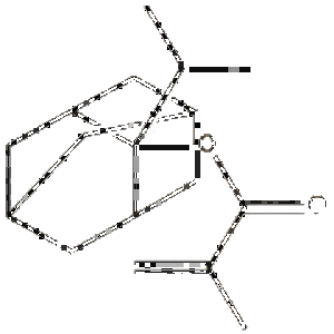 2-异丙基-2-金刚烷基甲基丙烯酸酯,2-Methyl-2-propenoic acid 2-(1-methylethyl)tricyclo[3.3.1.13,7]dec-2-yl ester