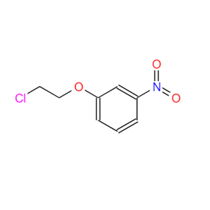 1-(2-chloroethoxy)-3-nitrobenzene 87291-34-7