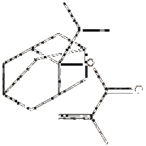 297156-50-4，2-异丙基-2-金刚烷基甲基丙烯酸酯