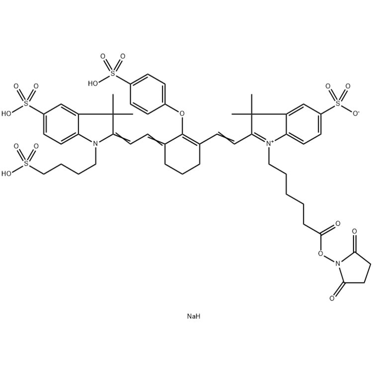 IR800 琥珀酰亚胺酯,IRDye 800CW NHS Ester; IR800 NHS