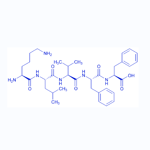 淀粉樣肽 Amyloid β-Protein (16-20）,Amyloid β-Protein (16-20) trifluoroacetate salt