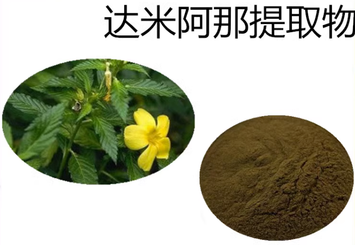 达米阿那提取物，达米阿那萃取粉，达米阿那叶粉,Damiana extract