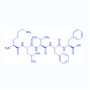 淀粉样肽 Amyloid β-Protein (16-20）/153247-40-6