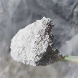 纳米二氧化钛,Titanium dioxide