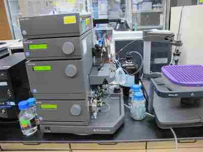 重组蛋白纯化服务,Recombinant protein purification services