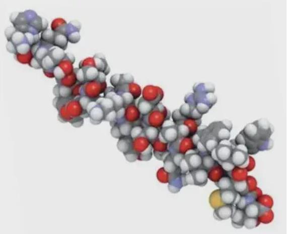 重組蛋白哺乳動(dòng)物表達(dá)服務(wù),Recombinant protein mammalian expression services