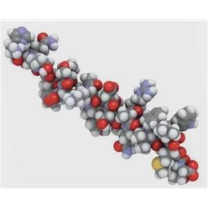 基因合成服務(wù),Gene synthesis services