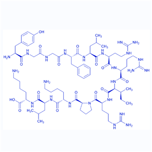 强啡肽A（1-13）/72957-38-1/Dynorphin A (1-13)