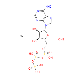 腺苷-5'-三磷酸二钠盐,水合物,Adenosine5’-triphosphatedisodiumsalthydrate