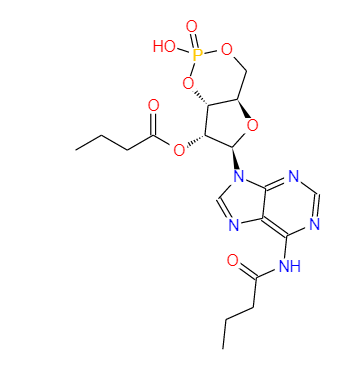 二丁酰环磷腺苷钙盐,Bucladesin