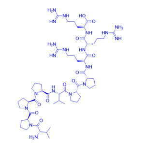 Ras抑制肽/159088-48-9/Ras Inhibitory Peptide
