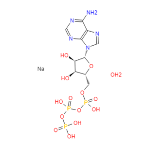 腺苷-5'-三磷酸二钠盐,水合物