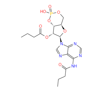 二丁酰环磷腺苷钙盐,Bucladesin