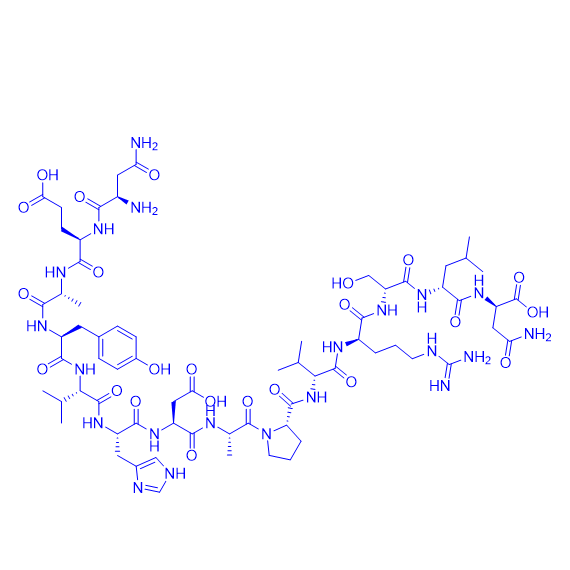 白细胞介素-1β转化酶底物多肽,Interleukin-1β Convertase Substrate