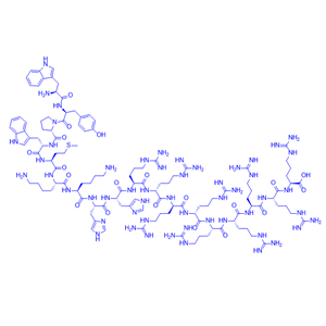 细胞渗透性多肽/917953-08-3/HXR9