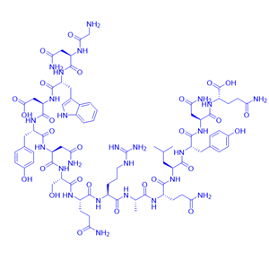抑制剂多肽Human PD-L1 inhibitor IV/2135542-83-3