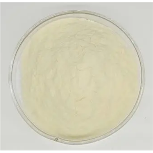 2011-66-7；2-氨基-5-硝基-2'-氯二苯甲酮