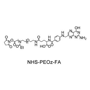 琥珀酰亚胺酯-聚(2-乙基-2-噁唑啉)-叶酸；NHS-PEOz-FA