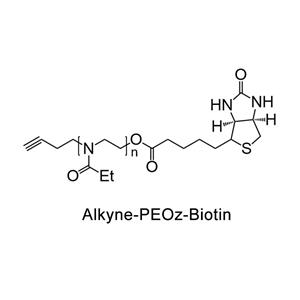 炔基-聚(2-乙基-2-噁唑啉)-生物素；Alkyne-PEOz-Biotin