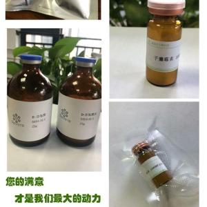 胃蛋白酶,Pepsin