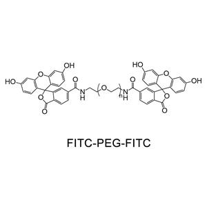 荧光素-聚乙二醇-荧光素；FITC-PEG-FITC