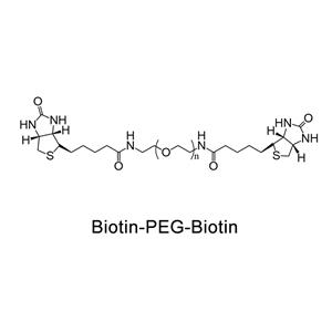 生物素-聚乙二醇-生物素；Biotin-PEG-Biotin