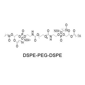 磷脂-聚乙二醇-磷脂；DSPE-PEG-DSPE