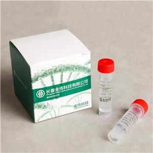 GoldenTran-DR 通用型转染试剂