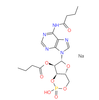 二丁酰環(huán)磷腺苷鈉鹽,Bucladesinesodium