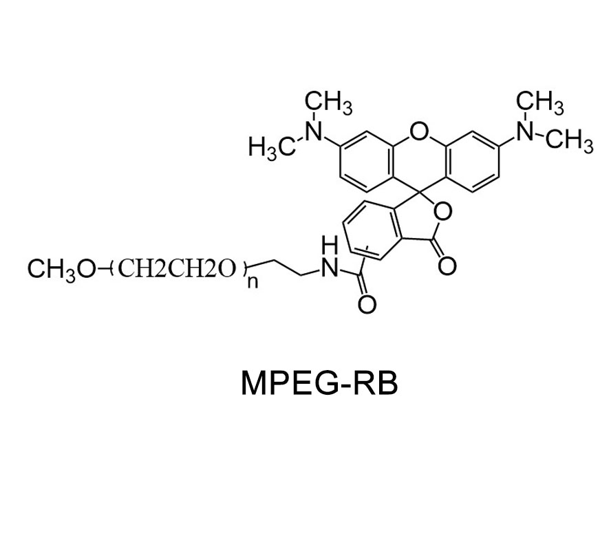 甲氧基聚乙二醇-罗丹明,MPEG-Rhodamine