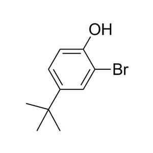 2-溴-4-叔丁基苯酚 2198-66-5