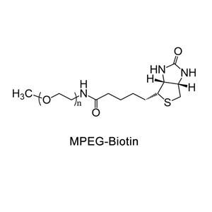 甲氧基聚乙二醇-生物素；mPEG-Biotin