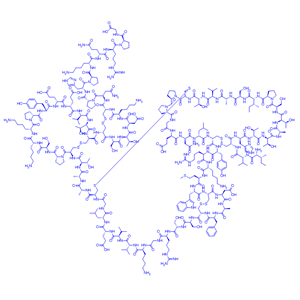 α-银环蛇神经毒素/α-金环蛇毒素/11032-79-4/α-Bungarotoxin