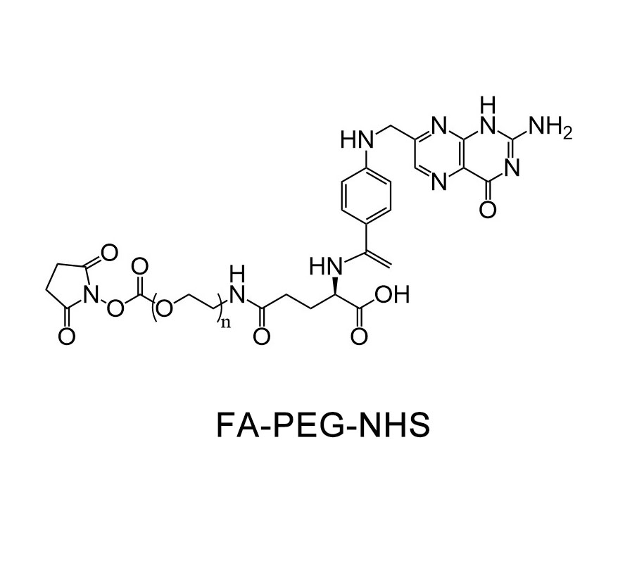 葉酸-聚乙二醇-活性酯,FA-PEG-NHS