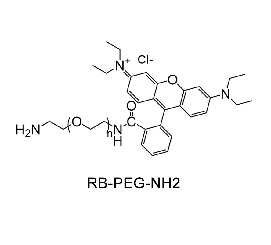 罗丹明-聚乙二醇-氨基,RB-PEG-NH2