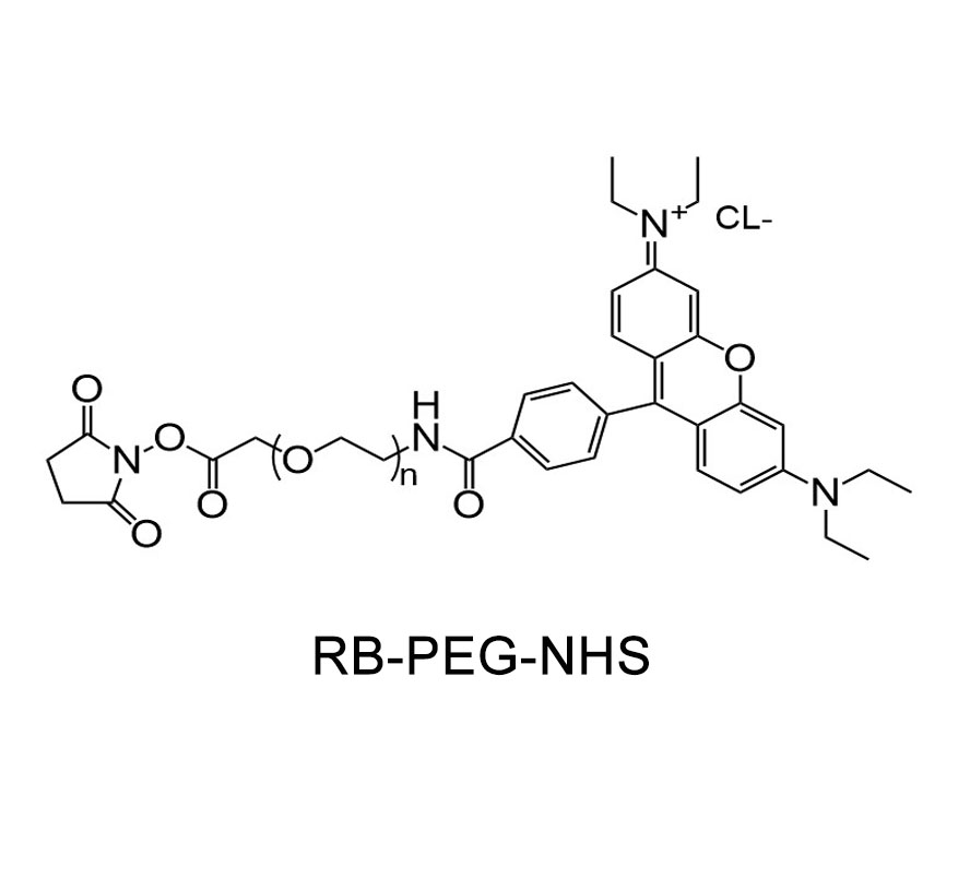 罗丹明-聚乙二醇-活性酯,RB-PEG-NHS