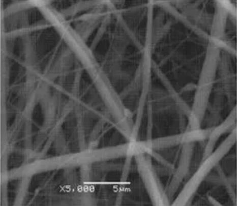 單壁碳納米管,Single-walled carbon nanotubes