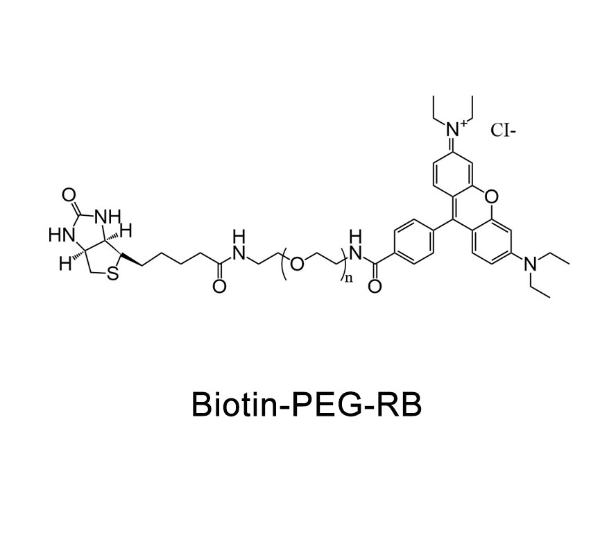 生物素-聚乙二醇-罗丹明,Biotin-PEG-RB