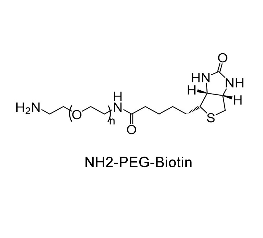 生物素-聚乙二醇-氨基,Biotin-PEG-NH2