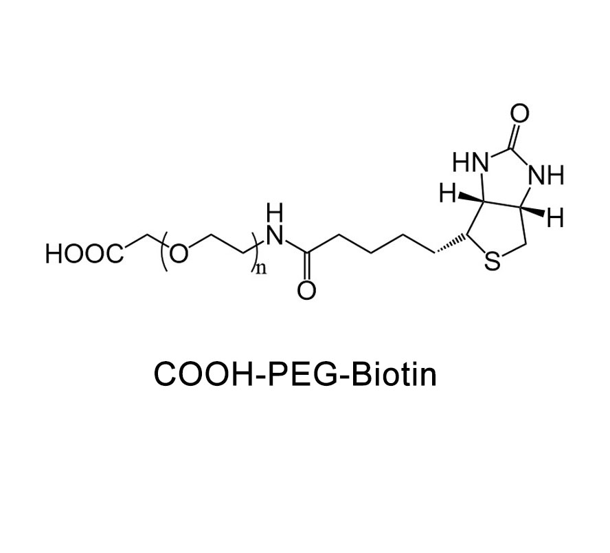 生物素-聚乙二醇-羧基,Biotin-PEG-COOH