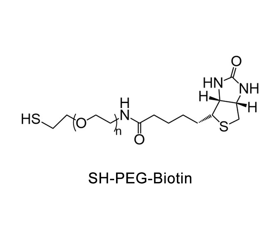 生物素-聚乙二醇-巯基,Biotin-PEG-SH