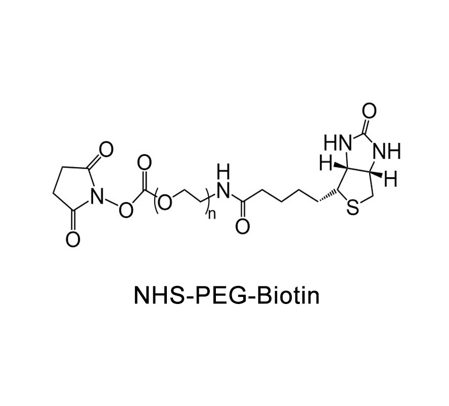 生物素-聚乙二醇-活性酯,Biotin-PEG-NHS