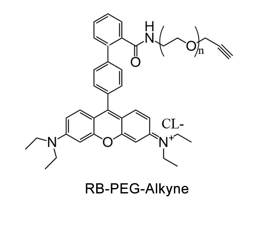 炔基-聚乙二醇-羅丹明,Alkyne-PEG-RB