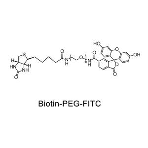 荧光素-聚乙二醇-生物素；FITC-PEG-Biotin；Fluorescein-PEG-Biotin