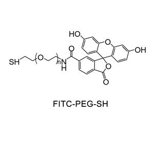 荧光素-聚乙二醇-巯基；Fluorescein-PEG-Thiol；FITC-PEG-SH