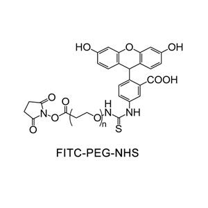 荧光素-聚乙二醇-活性酯；FITC-PEG-NHS