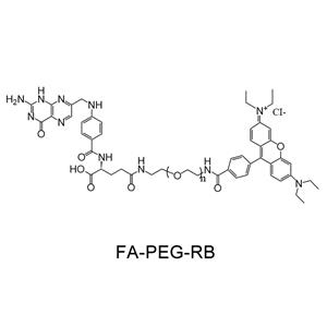 叶酸-聚乙二醇-罗丹明；FA-PEG-RB